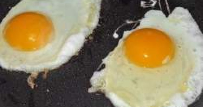 COMER UM OVO POR DIA NÃO AUMENTA O COLESTEROL COMER UM OVO POR DIA NÃO AUMENTA O COLESTEROL