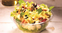 SPOLETO LANÇA MASSA ITALIANA LUMACONI, NOVO MOLHO E SALADINHA PARA O VERÃO SPOLETO LANÇA MASSA ITALIANA LUMACONI, NOVO MOLHO E SALADINHA PARA O VERÃO