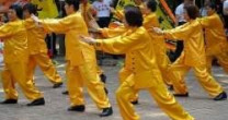 TAI CHI REDUZ RISCO DE QUEDAS EM IDOSOS TAI CHI REDUZ RISCO DE QUEDAS EM IDOSOS