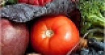 DIETA VEGETARIANA É DUAS VEZES MAIS EFICAZ PARA PERDER PESO DIETA VEGETARIANA É DUAS VEZES MAIS EFICAZ PARA PERDER PESO