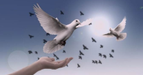 ESPIRITUALIDADE É UM FORTE COMPONENTE DA SABEDORIA ESPIRITUALIDADE É UM FORTE COMPONENTE DA SABEDORIA