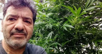 BRASILEIRO SE TORNA SOMMELIER DE CANNABIS EM ISRAEL: ‘É COMO UM VINHO’ BRASILEIRO SE TORNA SOMMELIER DE CANNABIS EM ISRAEL: ‘É COMO UM VINHO’
